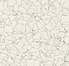 Кварцвиниловые полы Forbo Colorex EC EC 250202 ivory фото 1 | FLOORDEALER